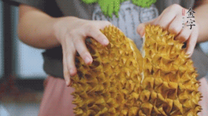 榴蓮剝好肉后，搗成泥狀。