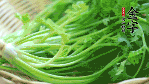 挑選鮮嫩的香菜，洗干凈后，處理成小段。