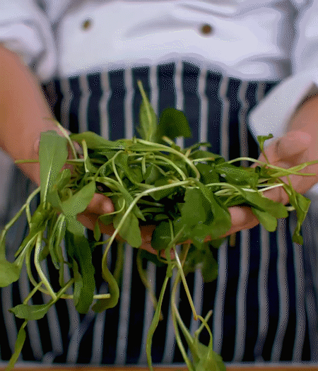 馬蘭頭焯水，切成細末。